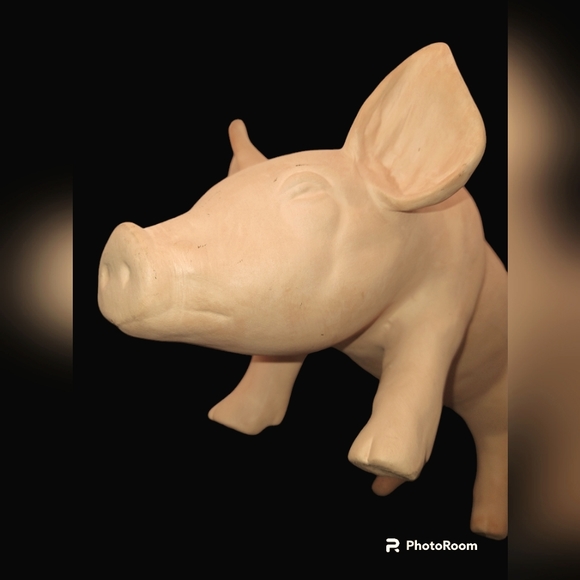 Piggy Bank - Picture 7 of 14